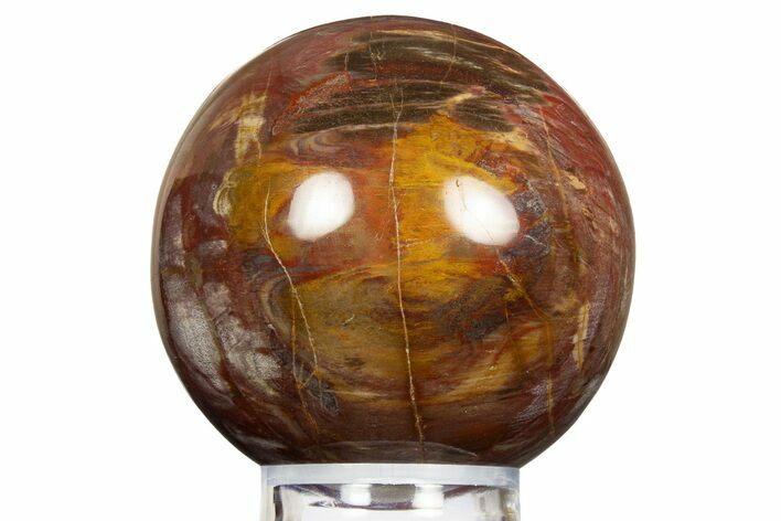Colorful Petrified Wood (Araucaria) Sphere - Madagascar #323609